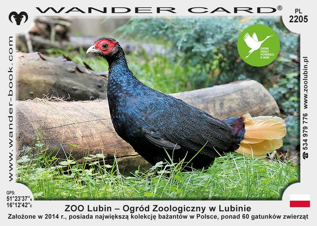 ZOO Lubin – Ogród Zoologiczny w Lubinie