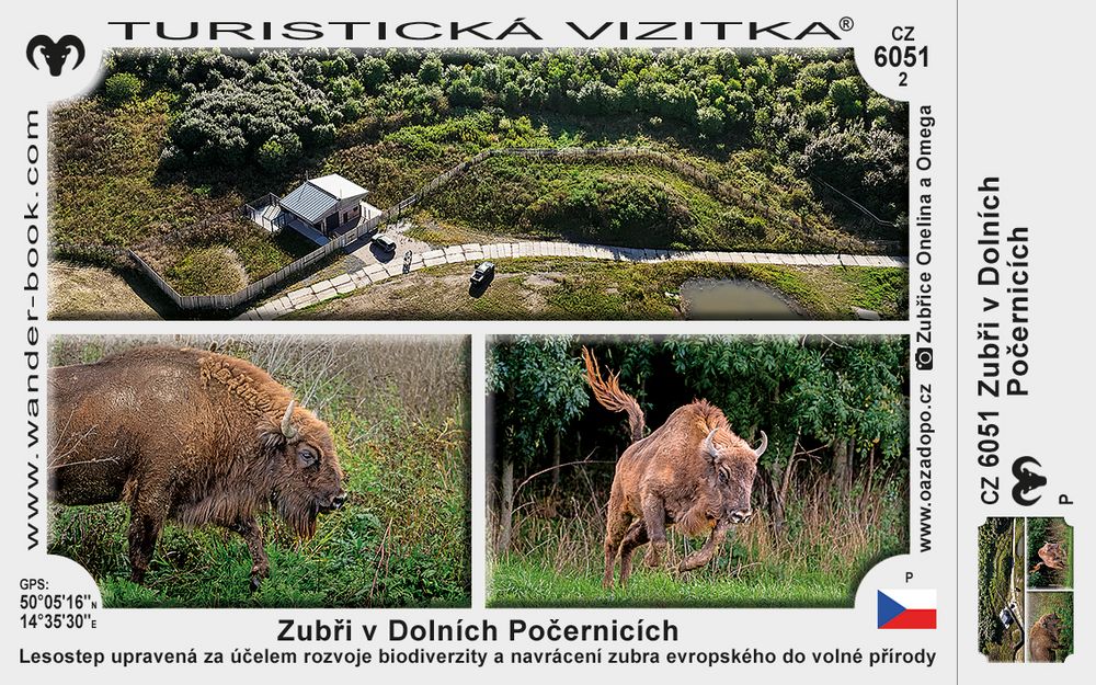 Zubři v Dolních Počernicích