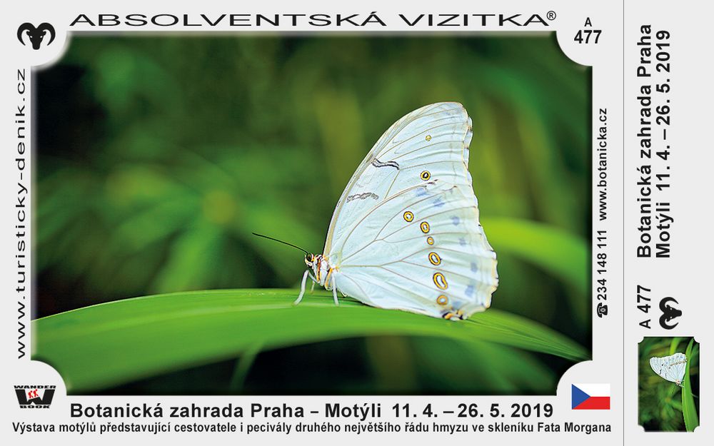 Botanická zahrada Praha – Motýli  11. 4. – 26. 5. 2019