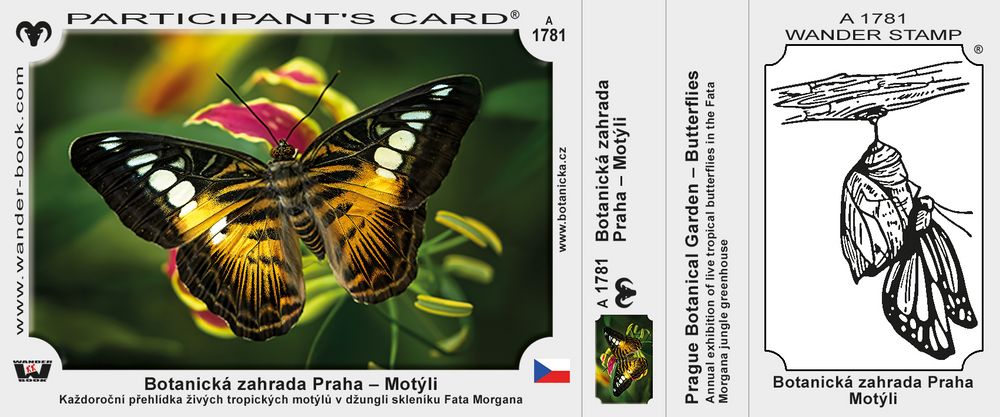 Botanická zahrada Praha – Motýli