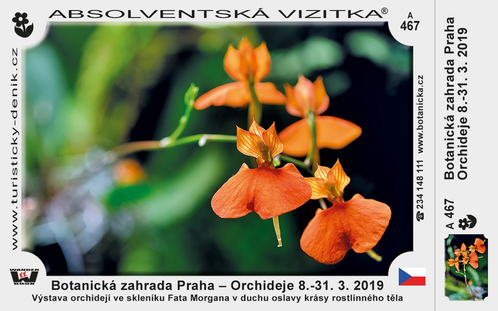 Botanická zahrada Praha - Orchideje 8.-31. 3. 2019