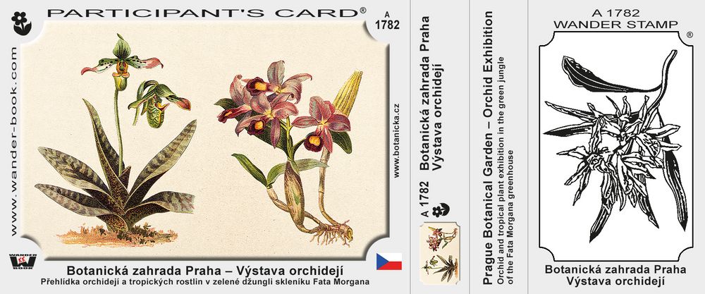 Botanická zahrada Praha – Výstava orchidejí