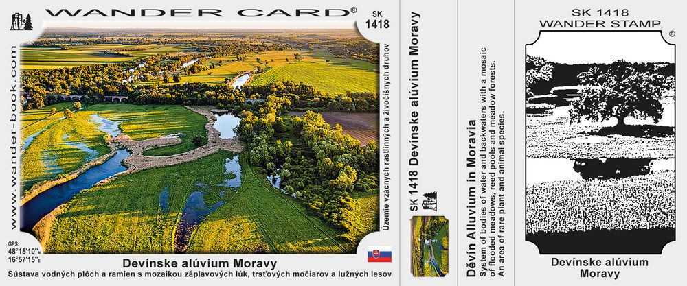 Devínske alúvium Moravy