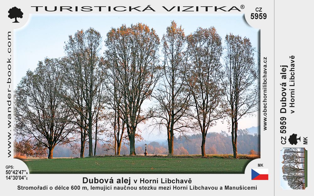 Dubová alej v Horní Libchavě