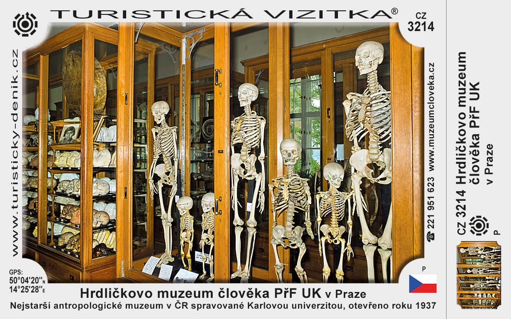 Hrdličkovo muzeum člověka PřF UK v Praze