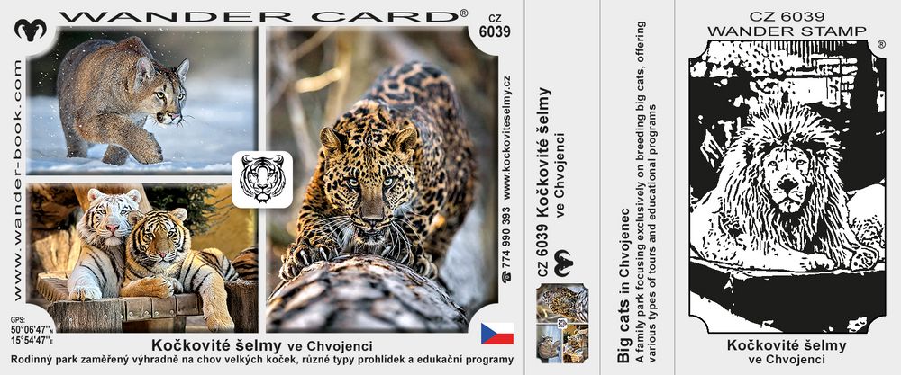 Kočkovité šelmy ve Chvojenci