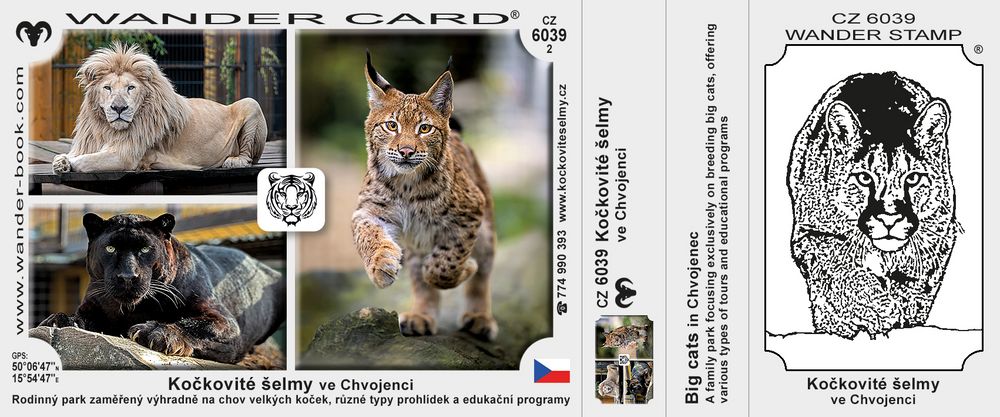 Kočkovité šelmy ve Chvojenci