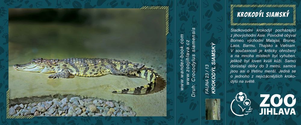Krokodýl siamský – Zoo Jihlava