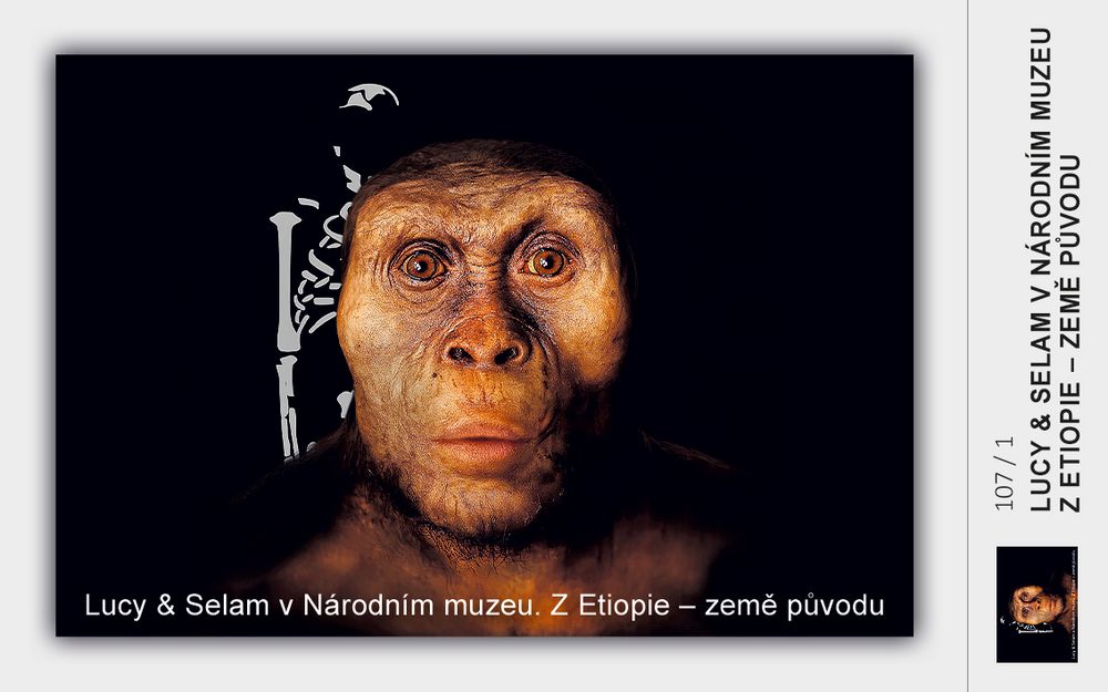 Lucy & Selam v Národním muzeu. Z Etiopie – země původu