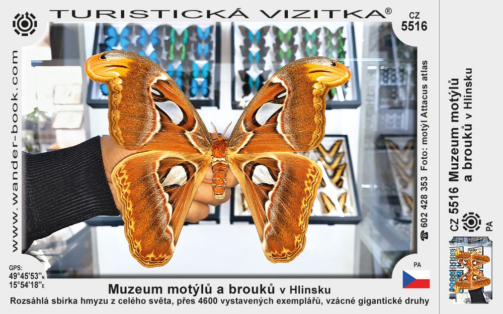 Muzeum motýlů a brouků v Hlinsku
