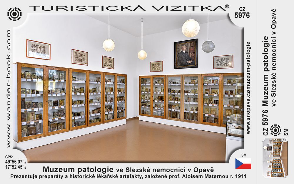 Muzeum patologie ve Slezské nemocnici v Opavě