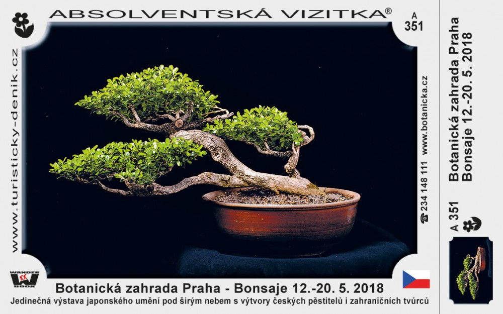 Praha botanická bonsaje 2018