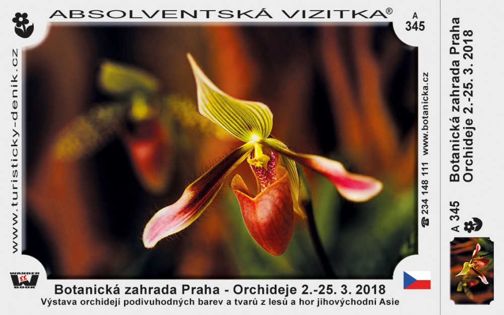 Praha botanická orchideje 2018