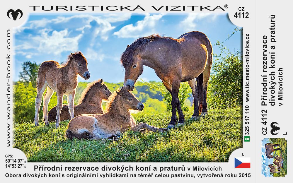 Přírodní rezervace divokých koní a praturů v Milovicích