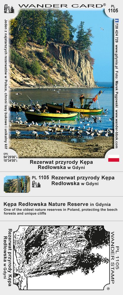 Rezerwat przyrody Kępa Redłowska w Gdyni