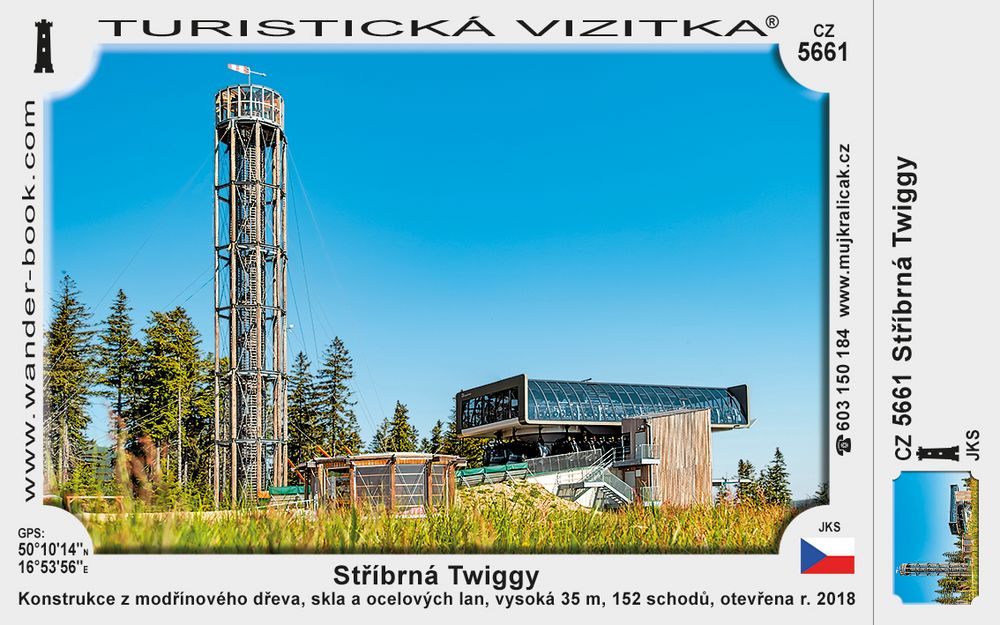 Stříbrná Twiggy