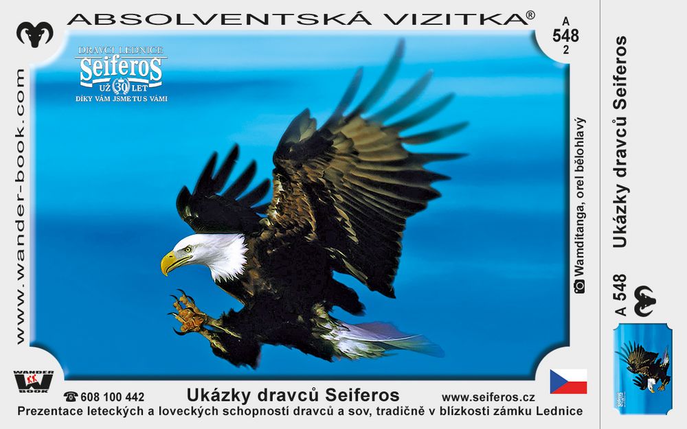 Ukázky dravců Seiferos