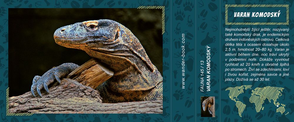 Varan komodský