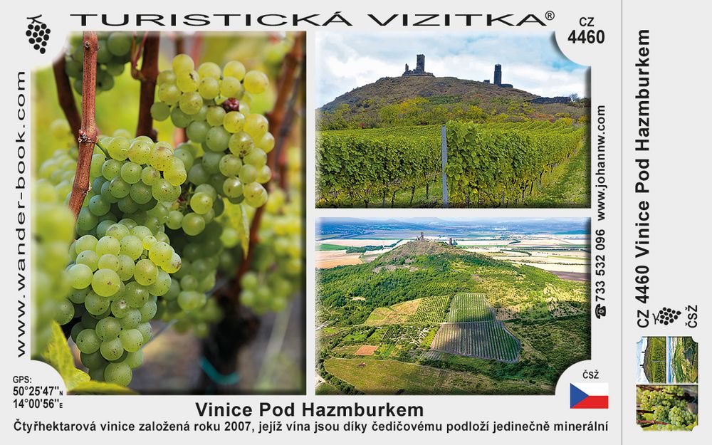 Vinice Pod Hazmburkem