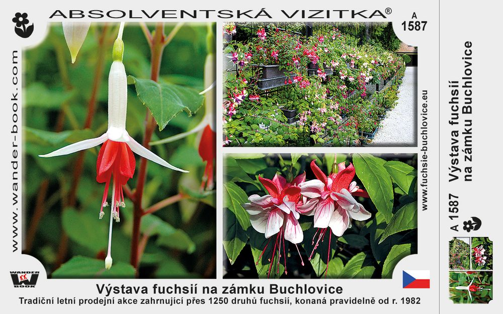 Výstava fuchsií na zámku Buchlovice