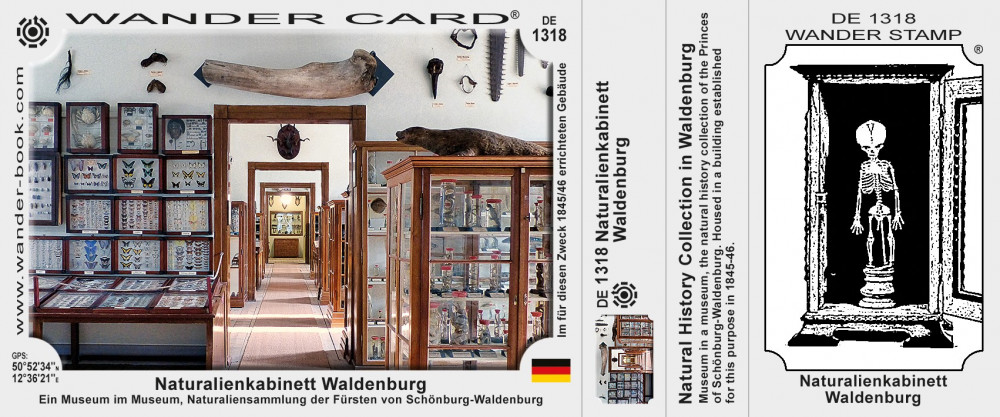 Naturalienkabinett Waldenburg