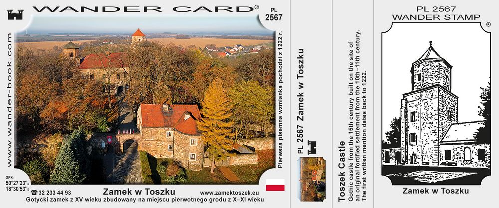 Zamek w Toszku