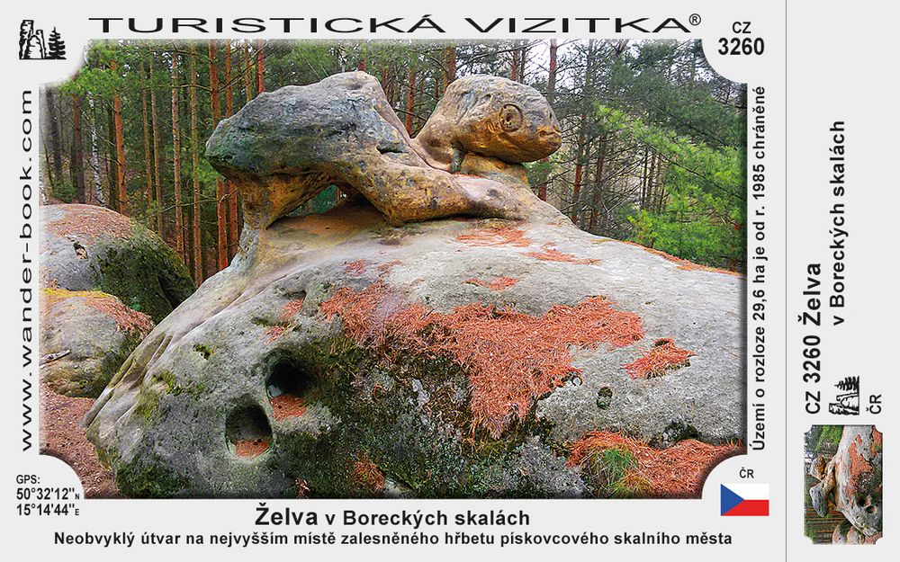 Želva v Boreckých skalách