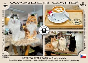 Kavárna svět koček ve Strakonicích