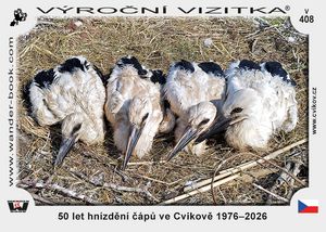 50 let hnízdění čápů ve Cvikově 1976–2026