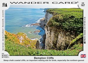 Bempton Cliffs
