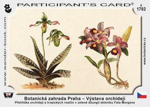 Botanická zahrada Praha – Výstava orchidejí
