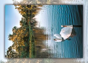 Cholerák v Kojetíně