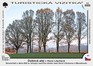 Dubová alej v Horní Libchavě