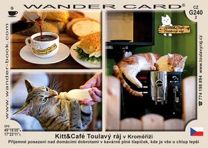 Kitt&Café Toulavý ráj v Kroměříži
