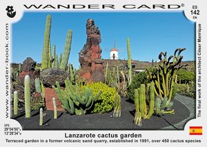 Jardín de Cactus de Lanzarote