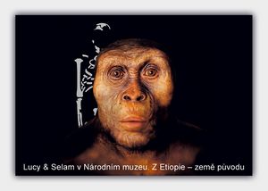 Lucy & Selam v Národním muzeu. Z Etiopie – země původu