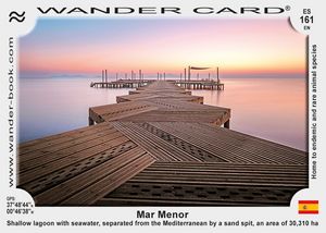 Mar Menor