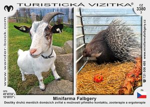 Minifarma Falbgery