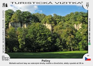Peliny