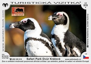 Safari Park Dvůr Králové