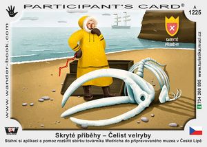 Skryté příběhy – Čelist velryby