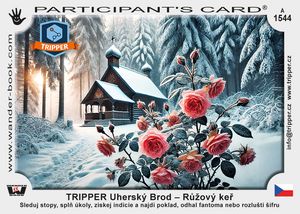 TRIPPER Uherský Brod – Růžový keř