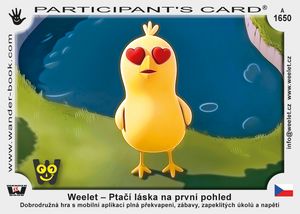 Weelet – Ptačí láska na první pohled