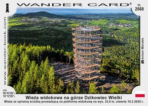 Wieża widokowa na górze Dzikowiec Wielki