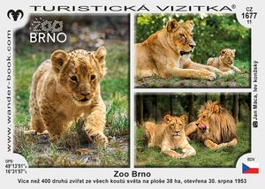 Zoo Brno