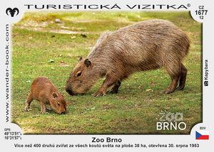 Zoo Brno