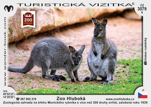 Zoo Hluboká