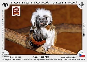 Zoo Hluboká